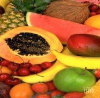 Русия ще внася 700 000 тона цитруси от Сирия, след забраната на внос от Турция