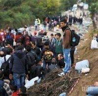 Полицията започна да транспортира до Атина мигранти, стояли със седмици на гръцко-македонската граница
