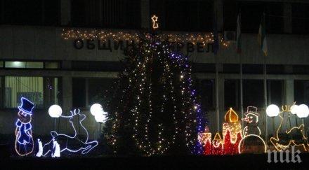 грейна коледната елха тервел снимки