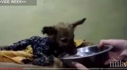 можеш изгледаш видео без разплачеш можеш подминеш виж