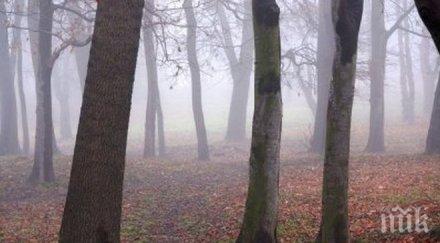 нимх предимно облачно студено