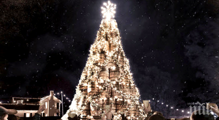 запалиха коледните светлини тържество дебелец