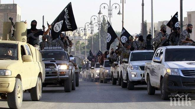 Извънредно! Ислямска държава се превръща в мода! 30 000 наемници от 86 страни воюват като нейни бойци