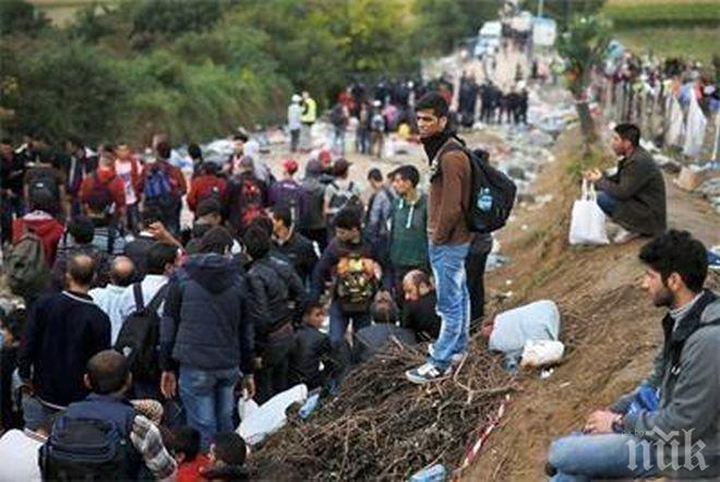 Хюман Райтс Уотч: На сръбско-българската граница има блокирани имигранти