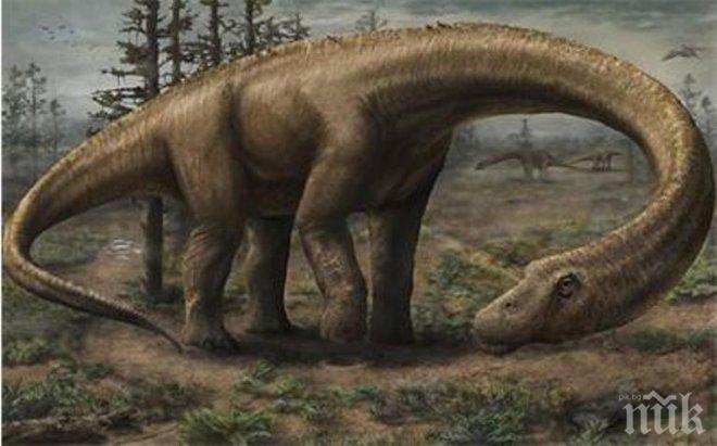 Австралийски изследователи откриха нов вид динозаври
