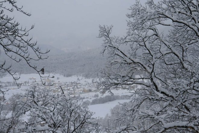 10 ч.: Рекордно ниска избирателна активност - 3,5 на сто! (Обновена)