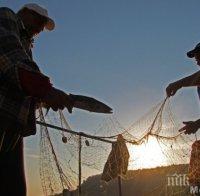Законът за рибарството и аквакултурите гласуван на първо четене