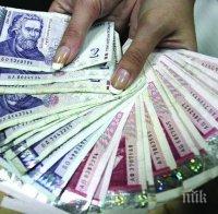 Отпускат 6 млн. лева за хуманно отношение към птици и свине