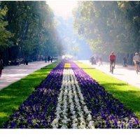 Времето съвсем се чална: В събота слънце и до 10 градуса