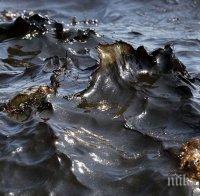 Цените на петрола удариха седемгодишно дъно в Азия