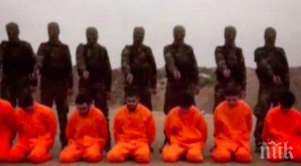 невиждано сирийски въстаници показаха екзекуция терористи идил видео