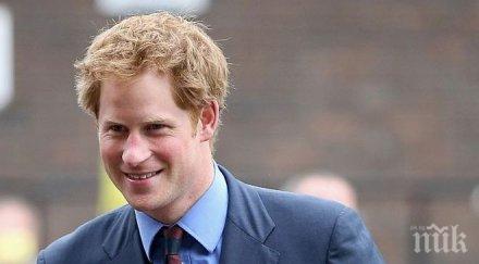 принц хари желаният ерген света