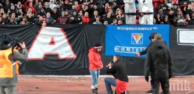 Уникално! Фен на ЦСКА предложи брак на половинката си пред Сектор Г, публиката полудя (видео)