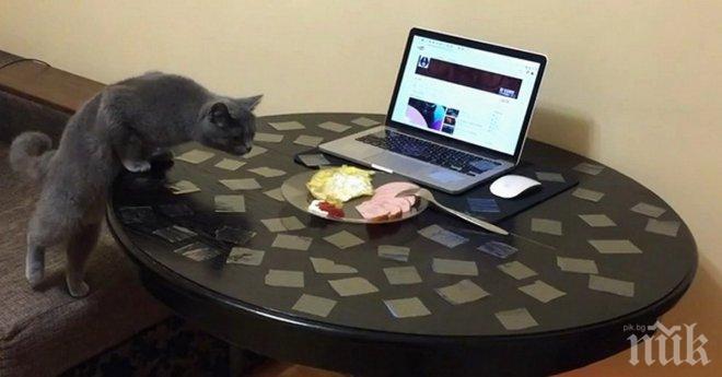 Тя остави на масата няколко парчета тиксо. Причината е брилянтна! 