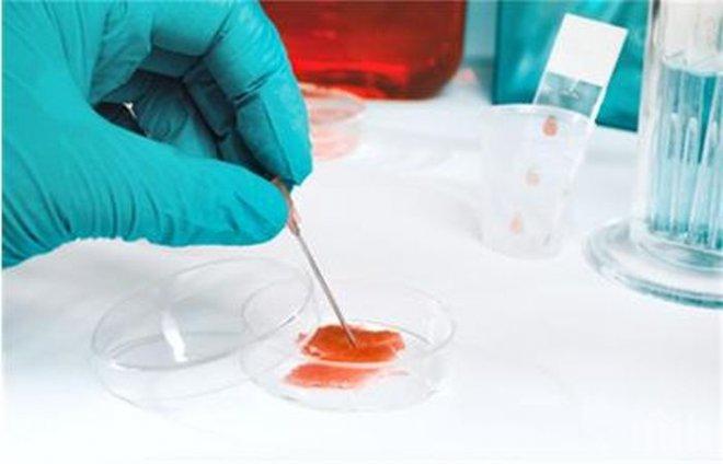 Учени откриха лекарство, което кара имунната система да се бори с рака