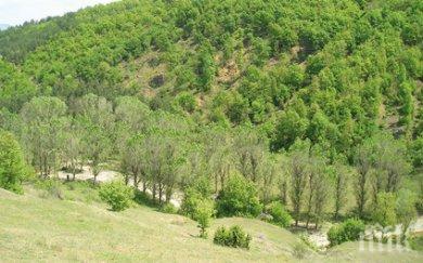 уволниха директора държавното ловно стопанство чепино