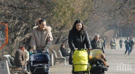 тристранката мъдри скок майчинството отпуските