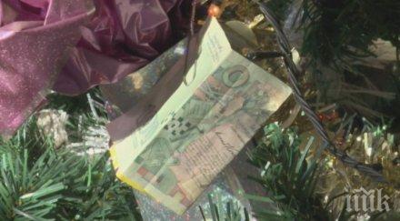 тузари столевка украси елхата хасковската полиция