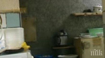 затвориха заведение заради небивала мръсотия