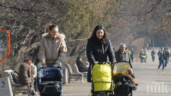 Тристранката ще мъдри скок на майчинството и отпуските