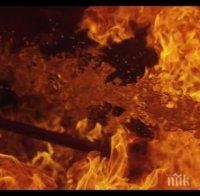 Коледна елха за 120 000 долара изгоря в Калифорния