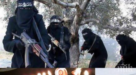 резил фенове изродите ислямска държава гаврят америка отбелязаха торта годишнината трагедията септември снимки