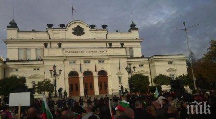 скандал пик платени протестъри защитават скандален лесничей