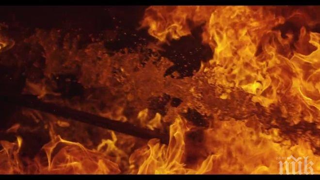 Коледна елха за 120 000 долара изгоря в Калифорния