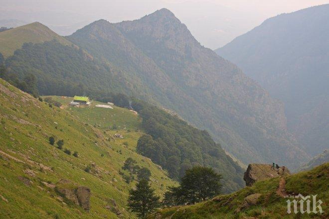 „Природата за хората и регионите“ излязоха с позиция за днешните протести, организирани от зелени неправителствени организации