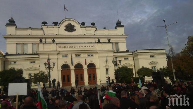 Скандал в ПИК! Платени протестъри защитават скандален лесничей!