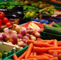 Проверяват за нитрати зеленчуците в Шумен