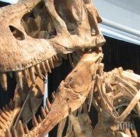 В Испания откриха останки на непознат засега на учените вид динозавър с 