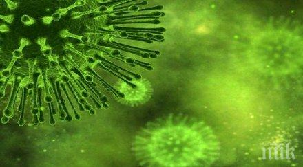 фосили милиарда години разкриват първите микроби живели шуплите наноси