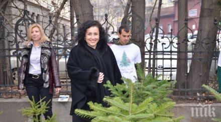 мзх удължава благотворителната кампания купи жива елхичка помогни дете