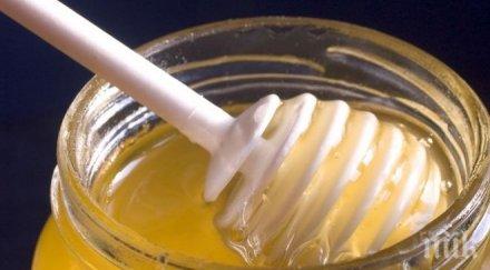 около мед получи кошер градска среда