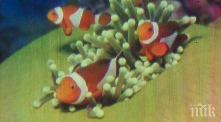 швейцарски учени създадоха малкото принтирано изображение света