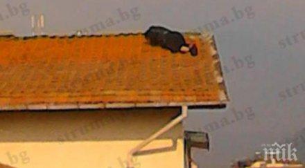 самоубиецът сандански заплаши скочи покрив заспа