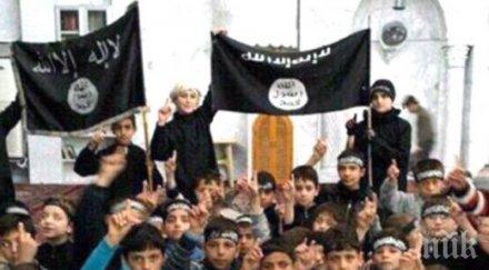 германските служби ислямска държава наистина подобно държава формирование