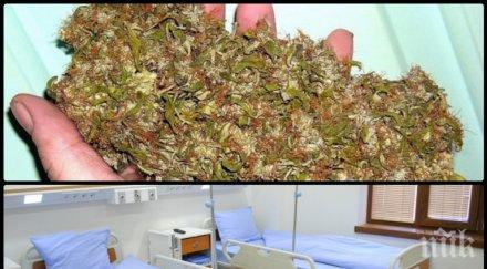 македония легализира марихуаната медицински цели