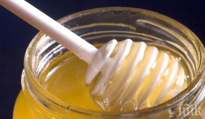 Около 10 кг мед може да се получи от кошер в градска среда