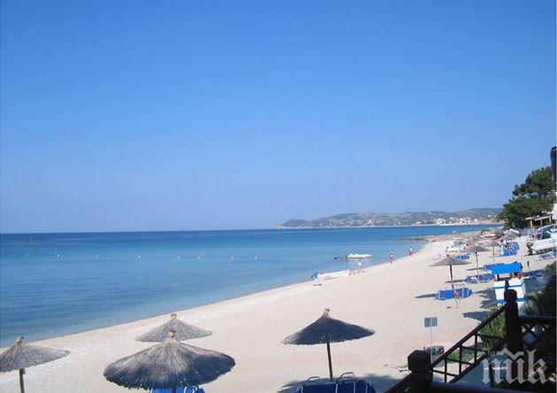 Вредните вещества в рибата в Черно море са по-малко от средните показатели за Европа 