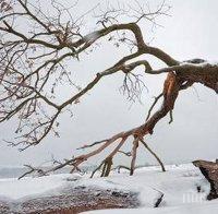 Спиращи дъха гледки от снежна и красива България! Не могат да бъдат описани с думи! 