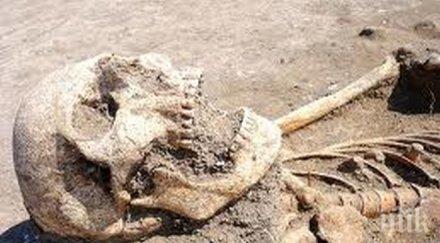 откриха нов вид хора