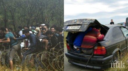 студенти новите мулета опитните каналджии вижте висшистите оказаха идеални трафик бежанци