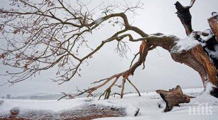спиращи дъха гледки снежна красива българия бъдат описани думи