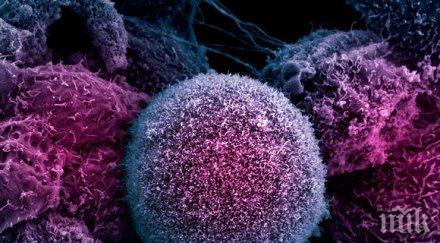 копирането западния начин живот разпространява рак сред бедните