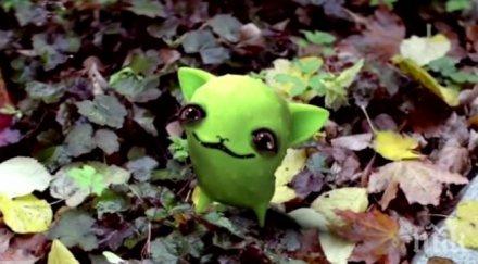 децата влюбиха кашличко