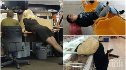 души заемат удобни пози аххаха мога взема пример тях