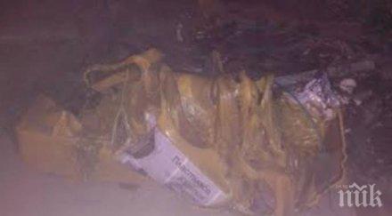 подпалиха контейнер разделно събиране варна