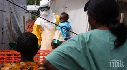 епидемия изяждаща човешката плът болест наблюдава сирия